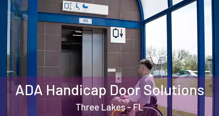  ADA Handicap Door Solutions Three Lakes - FL