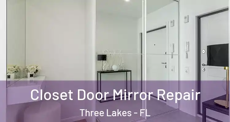  Closet Door Mirror Repair Three Lakes - FL