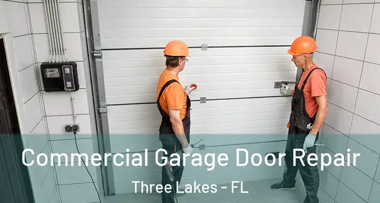  Commercial Garage Door Repair Three Lakes - FL