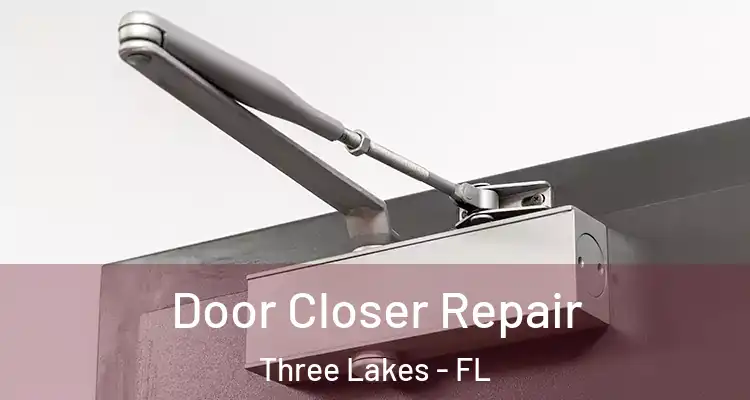  Door Closer Repair Three Lakes - FL