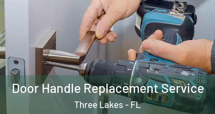  Door Handle Replacement Service Three Lakes - FL