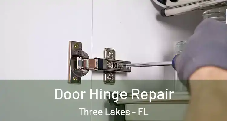  Door Hinge Repair Three Lakes - FL