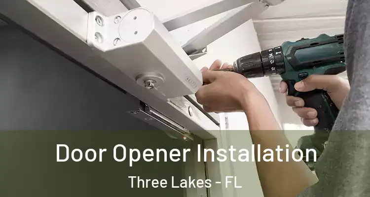  Door Opener Installation Three Lakes - FL