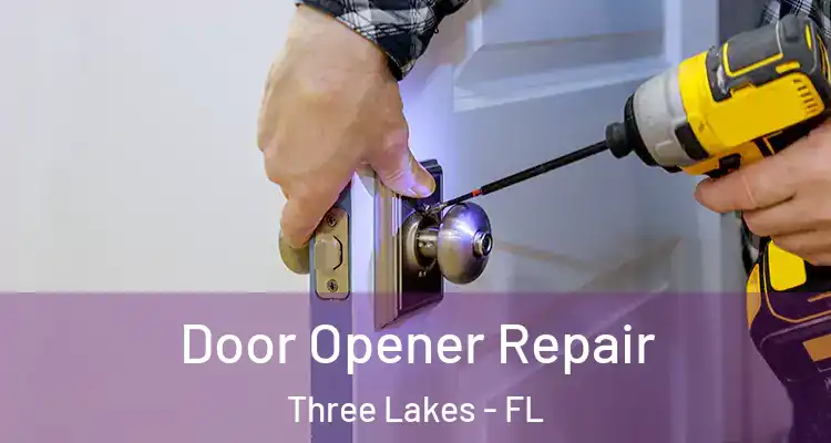  Door Opener Repair Three Lakes - FL