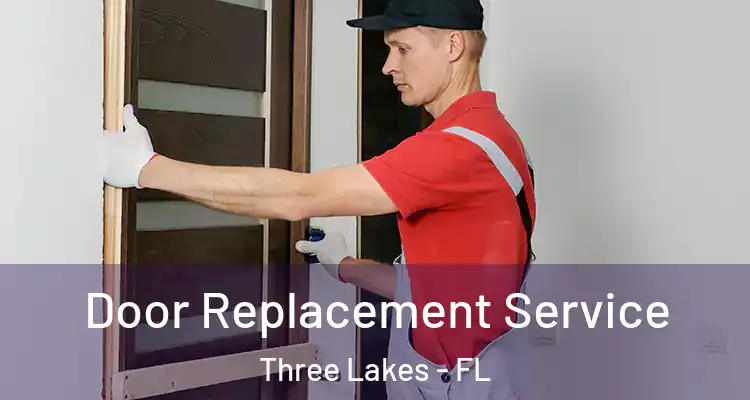  Door Replacement Service Three Lakes - FL