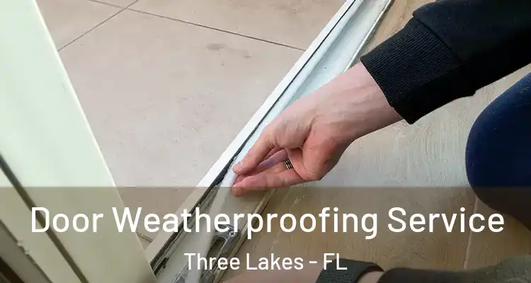  Door Weatherproofing Service Three Lakes - FL