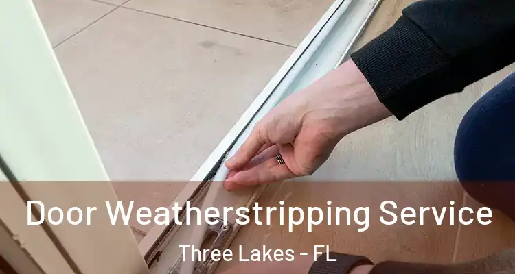  Door Weatherstripping Service Three Lakes - FL