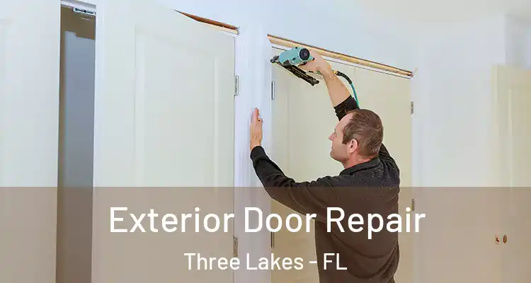  Exterior Door Repair Three Lakes - FL