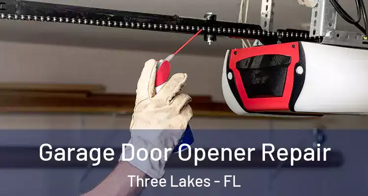  Garage Door Opener Repair Three Lakes - FL