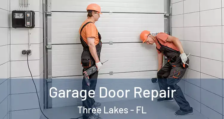  Garage Door Repair Three Lakes - FL