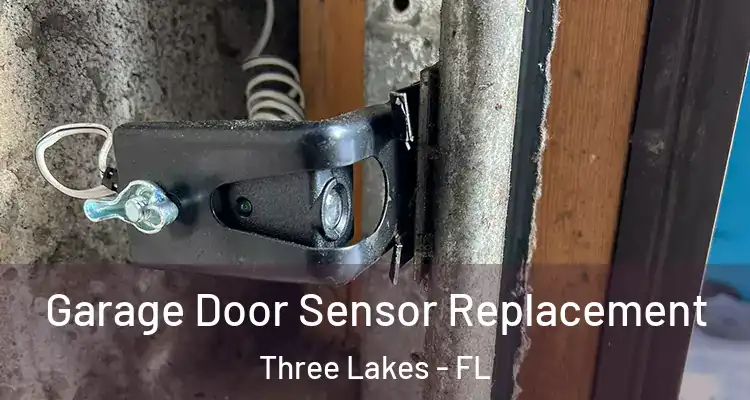  Garage Door Sensor Replacement Three Lakes - FL