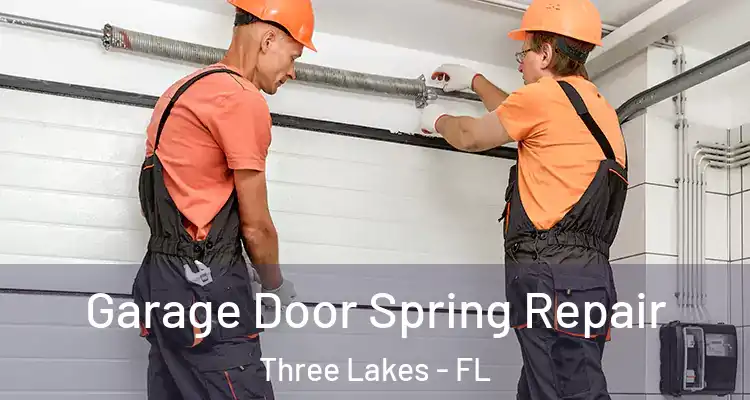  Garage Door Spring Repair Three Lakes - FL