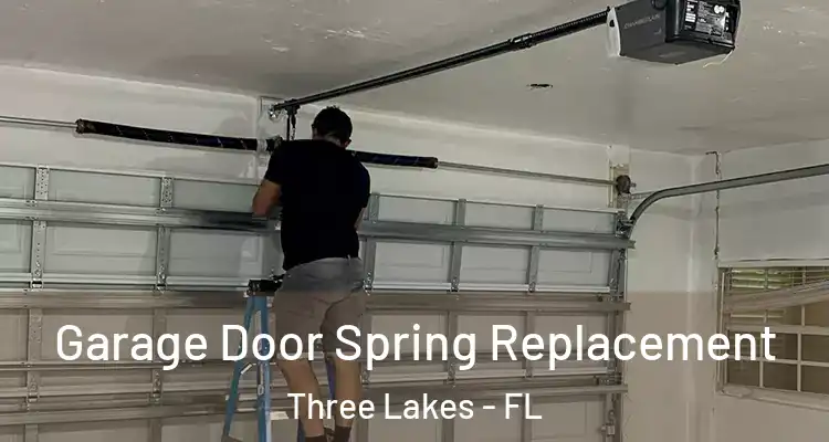  Garage Door Spring Replacement Three Lakes - FL