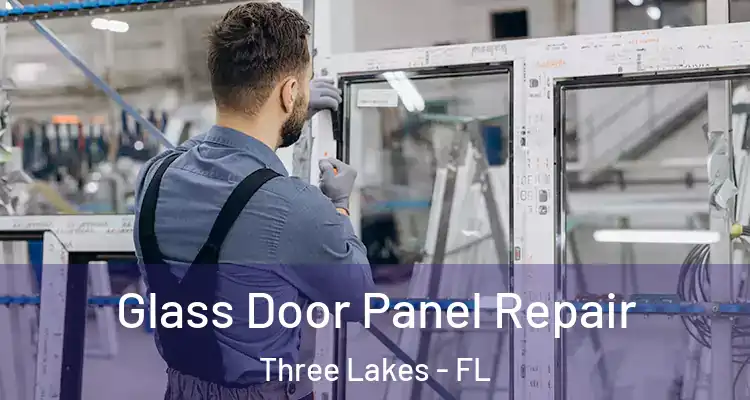  Glass Door Panel Repair Three Lakes - FL