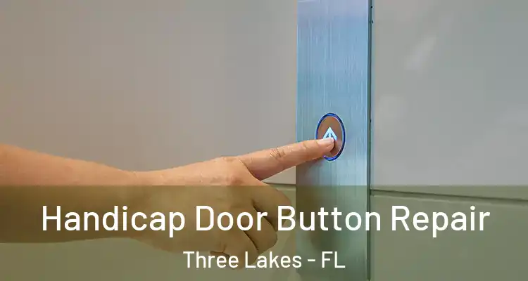  Handicap Door Button Repair Three Lakes - FL
