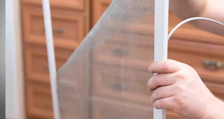 Privacy Mesh Screen Door Installation in Three Lakes, FL