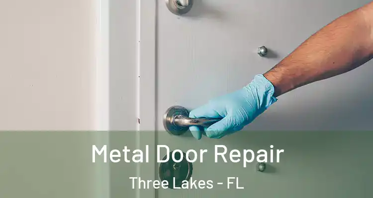  Metal Door Repair Three Lakes - FL