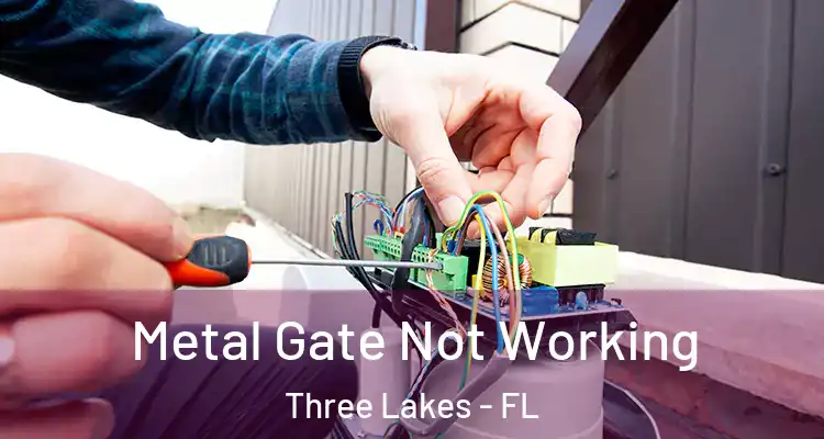  Metal Gate Not Working Three Lakes - FL