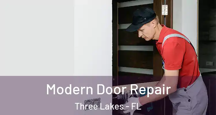  Modern Door Repair Three Lakes - FL