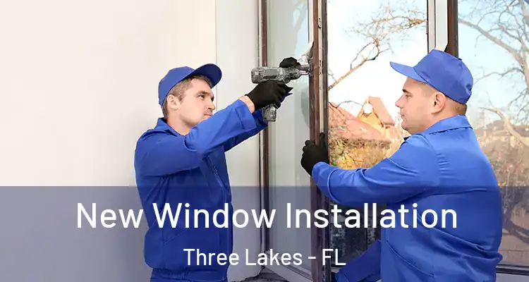  New Window Installation Three Lakes - FL