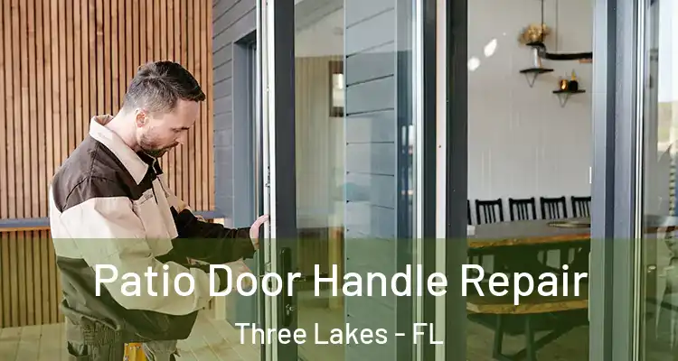  Patio Door Handle Repair Three Lakes - FL