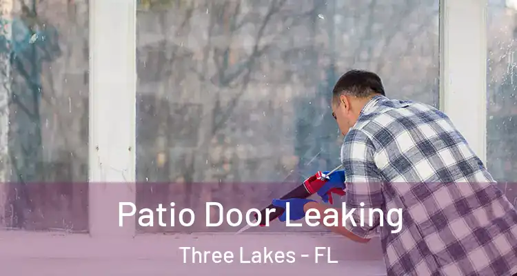  Patio Door Leaking Three Lakes - FL
