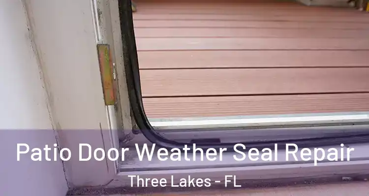  Patio Door Weather Seal Repair Three Lakes - FL