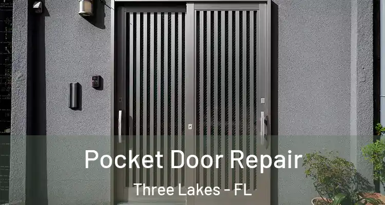  Pocket Door Repair Three Lakes - FL