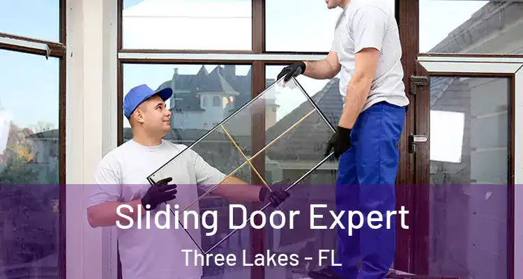 Sliding Door Expert Three Lakes - FL