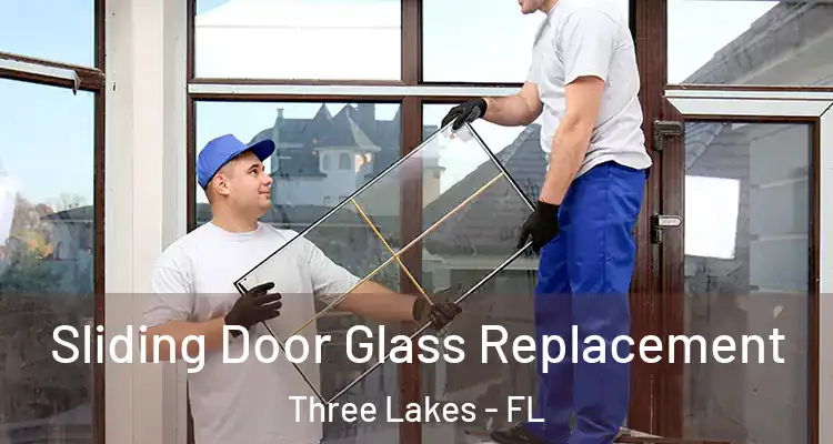  Sliding Door Glass Replacement Three Lakes - FL