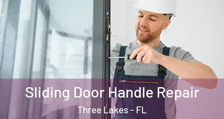  Sliding Door Handle Repair Three Lakes - FL
