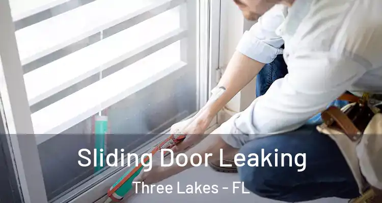  Sliding Door Leaking Three Lakes - FL