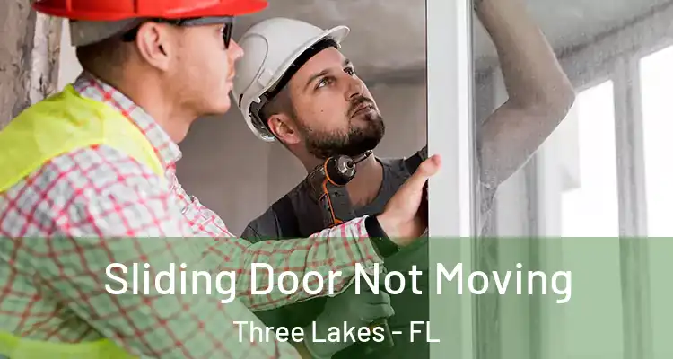  Sliding Door Not Moving Three Lakes - FL