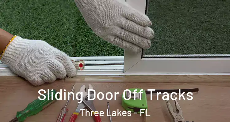  Sliding Door Off Tracks Three Lakes - FL