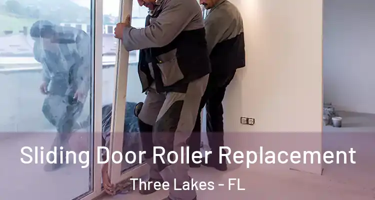  Sliding Door Roller Replacement Three Lakes - FL
