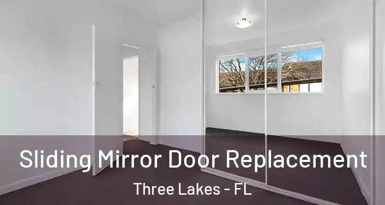  Sliding Mirror Door Replacement Three Lakes - FL