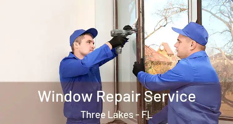  Window Repair Service Three Lakes - FL